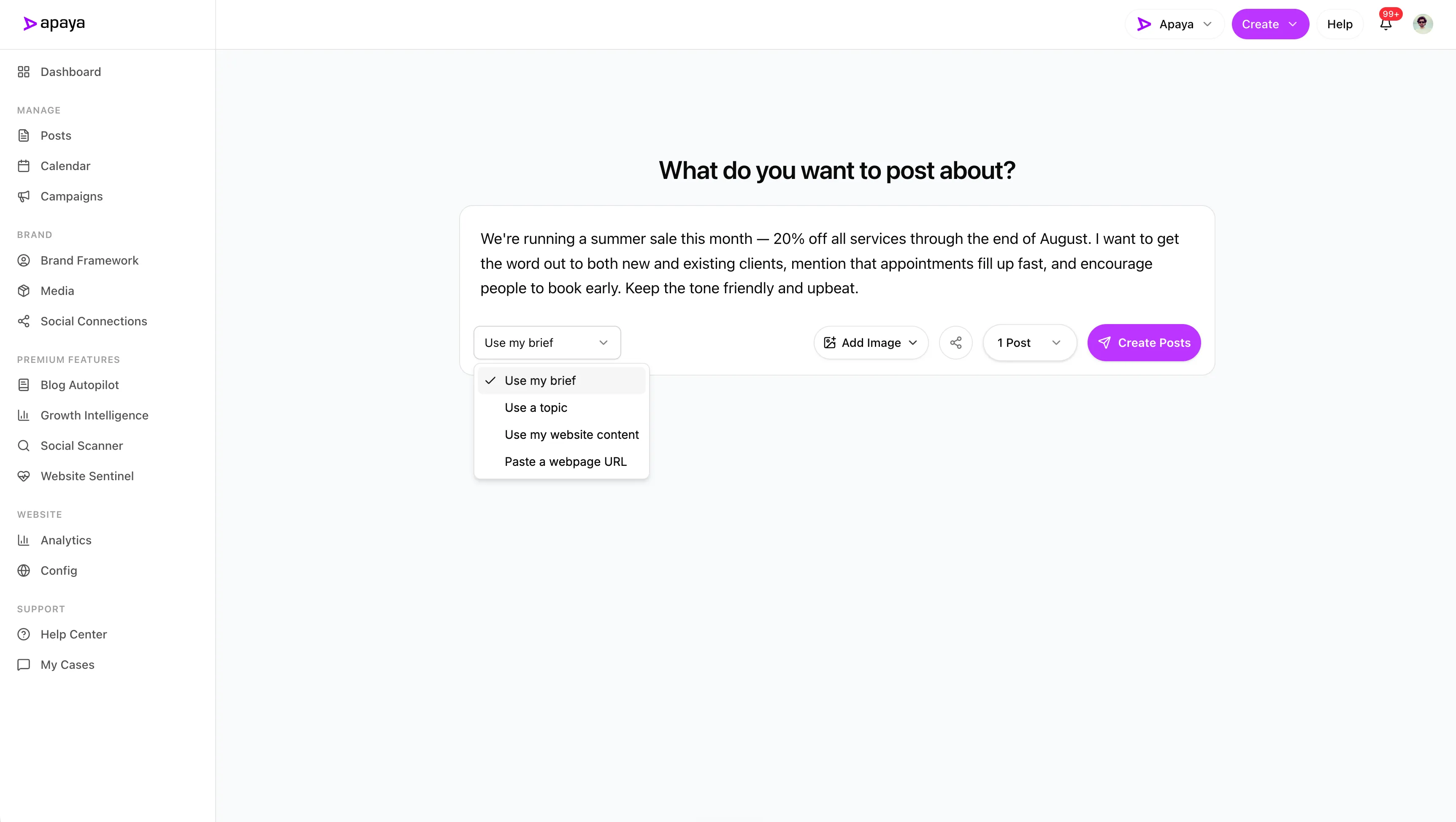 Typing a post idea into Apaya to generate social media posts