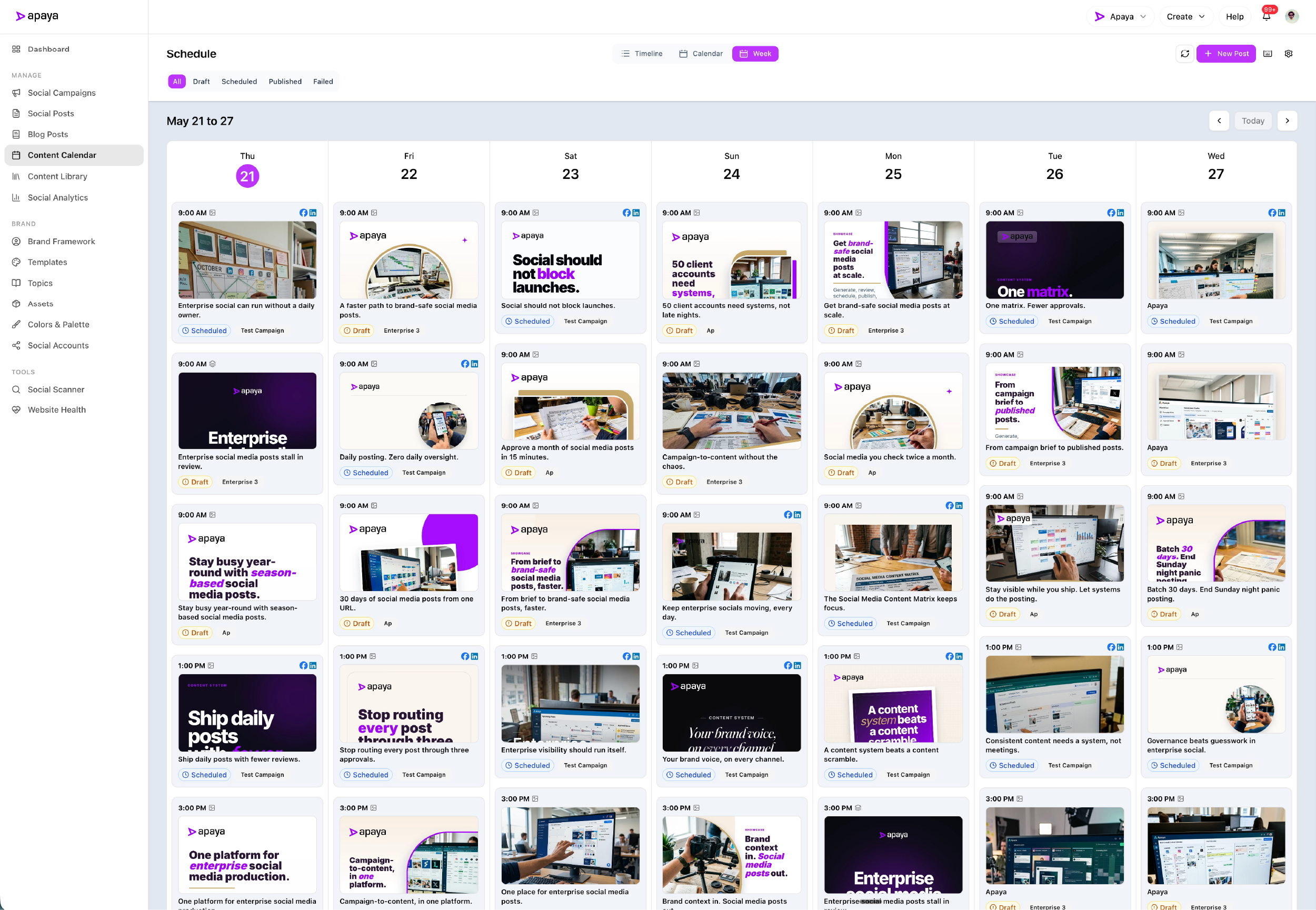 Enterprise social media scheduling and calendar