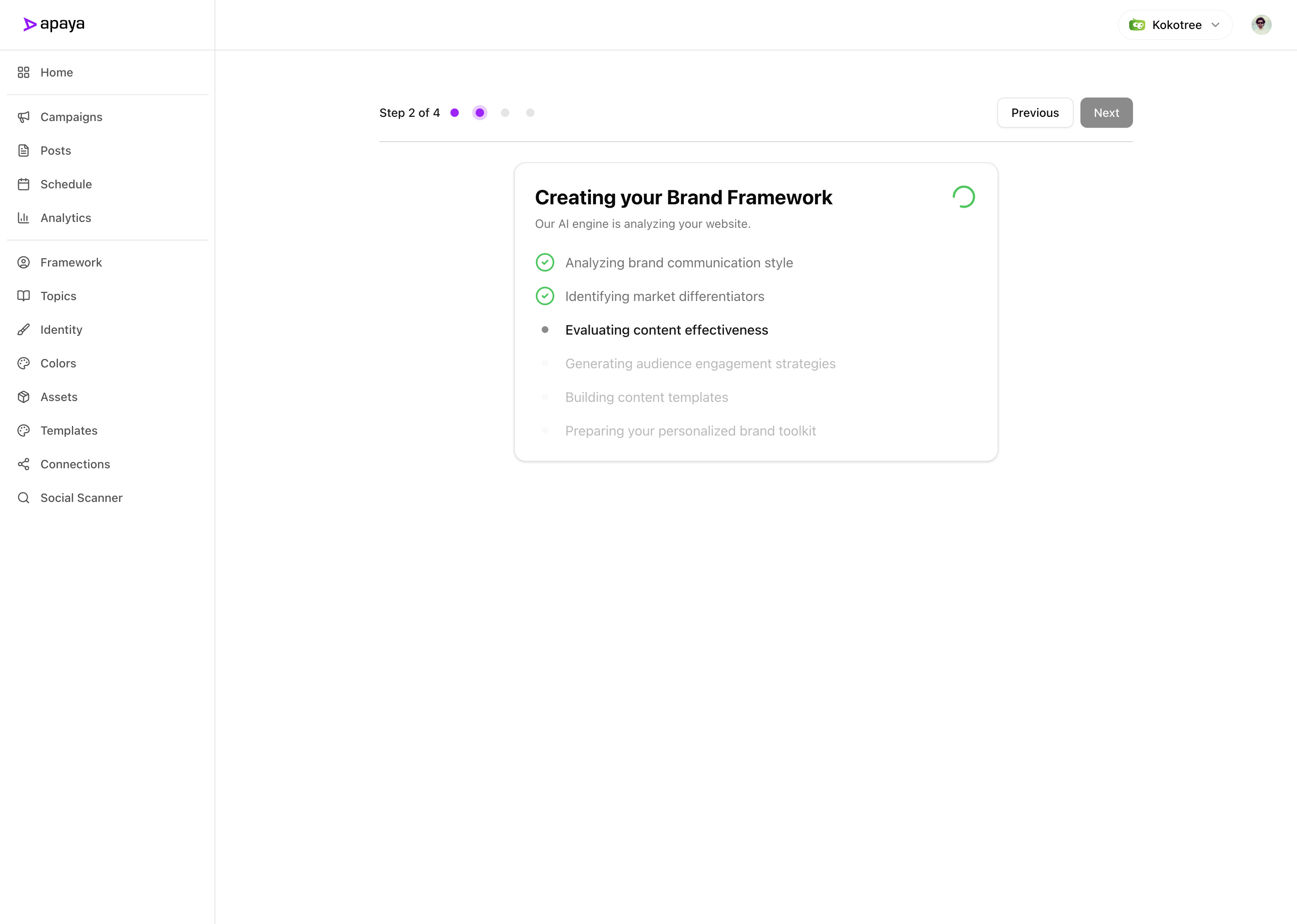 Apaya Generating Brand Framework