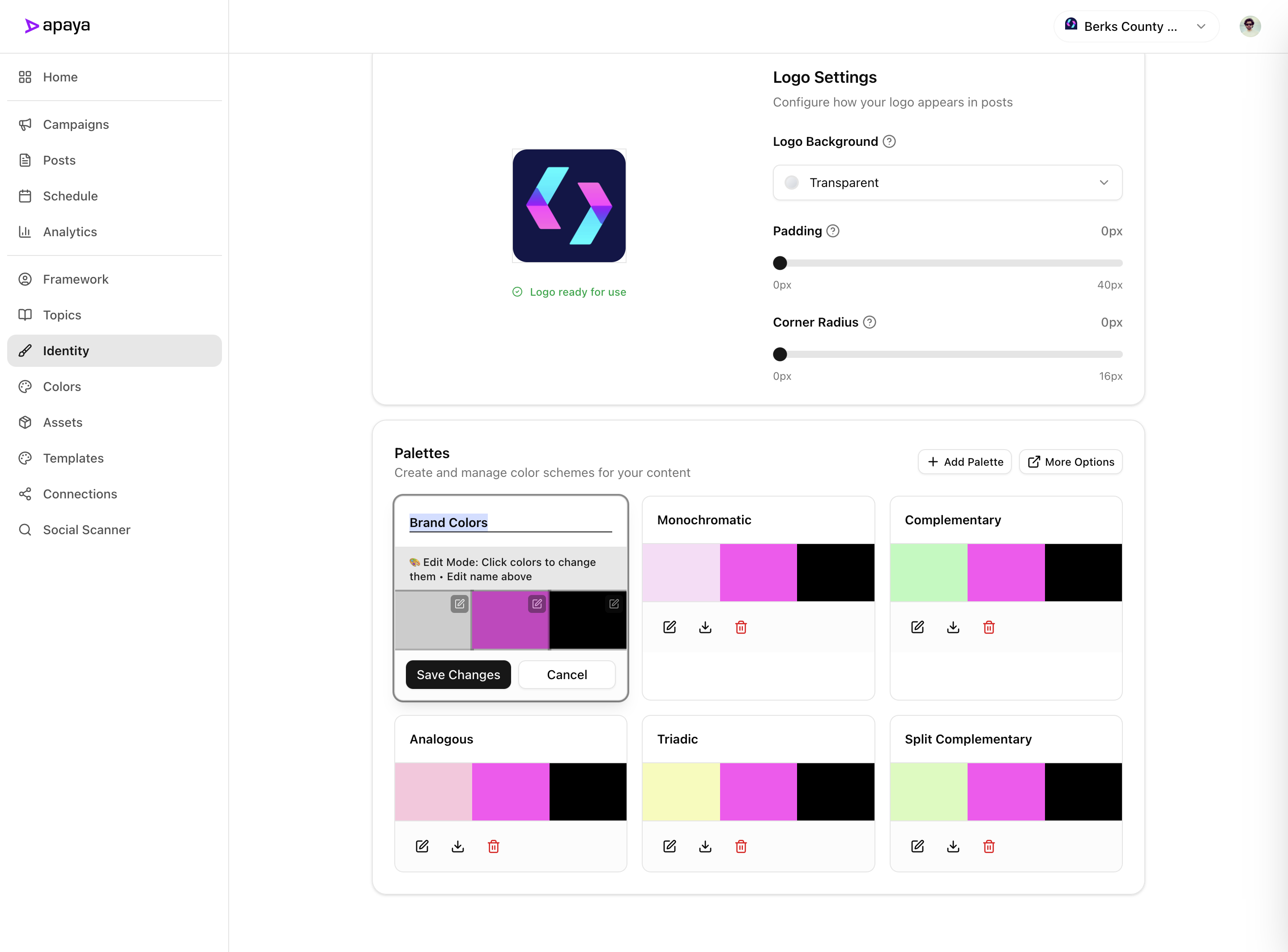 Apaya Brand Color Palettes