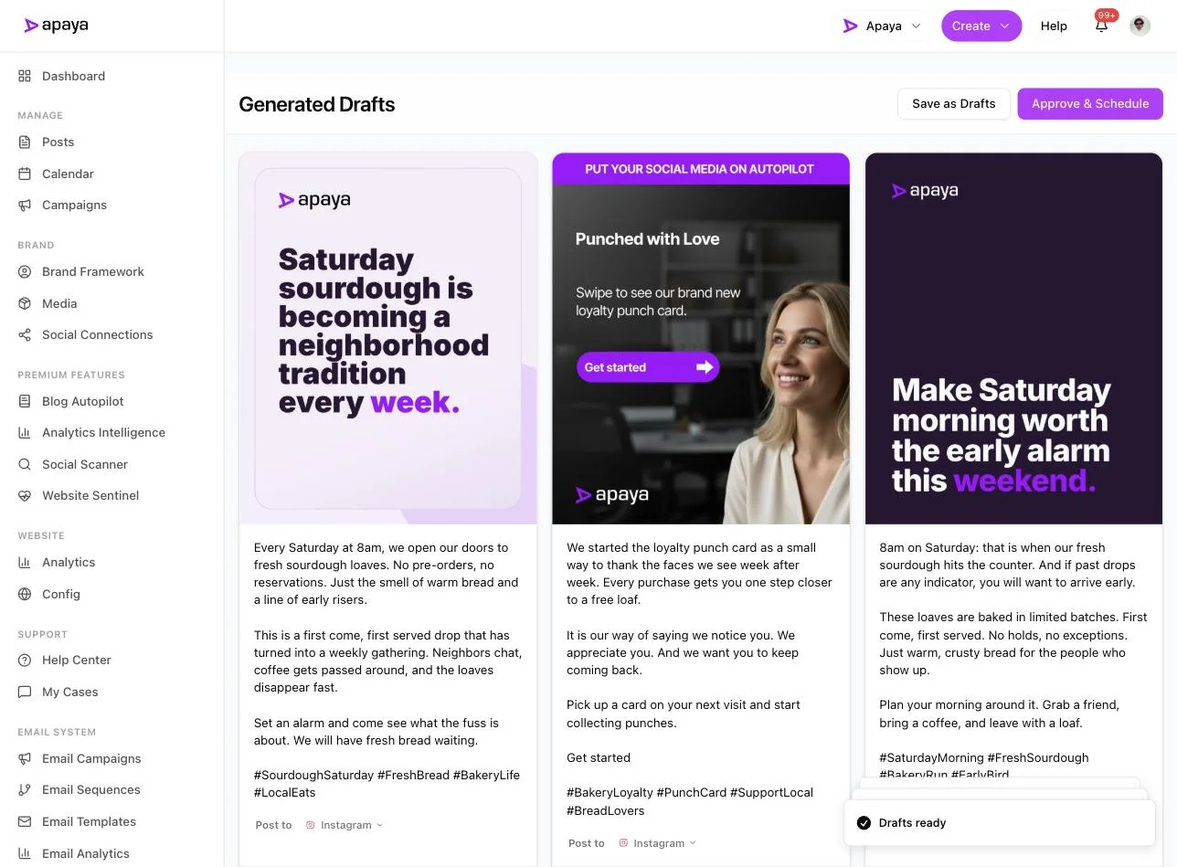 Three generated post drafts in Apaya with designed graphics and captions