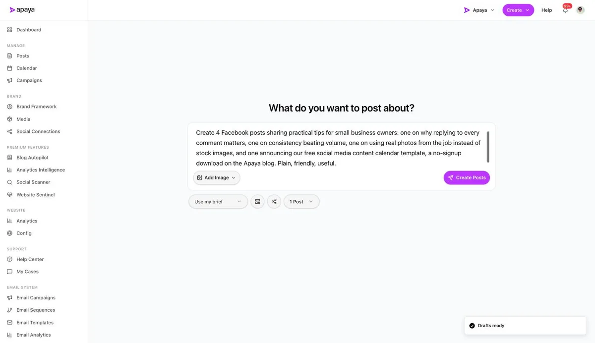 The Apaya create screen with a plain-language brief for four Facebook posts