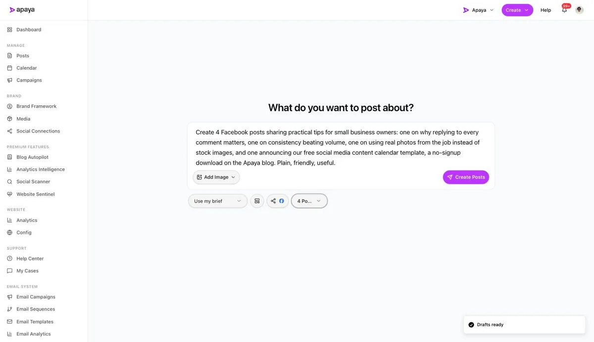 The configured create screen: brief written, Facebook selected, four posts chosen