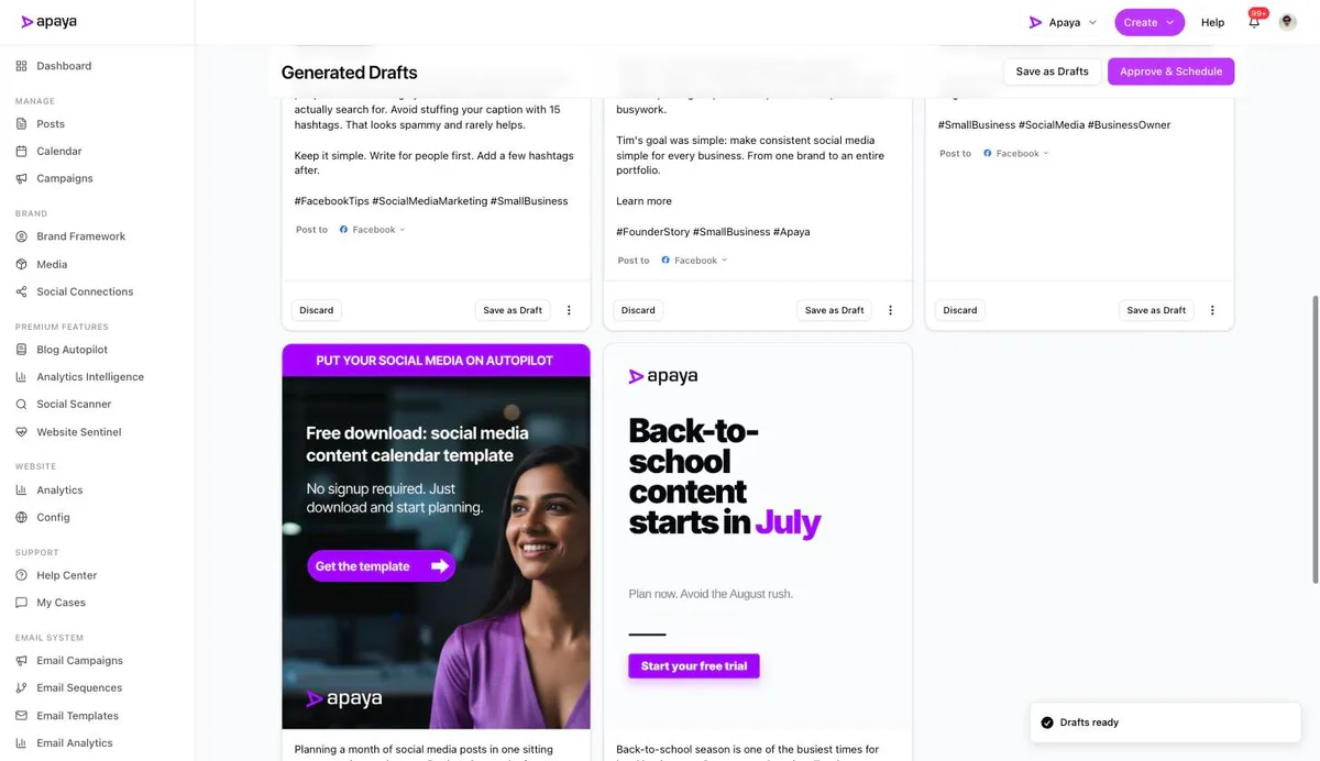 The offer and seasonal reminder examples with per-post review controls in Apaya