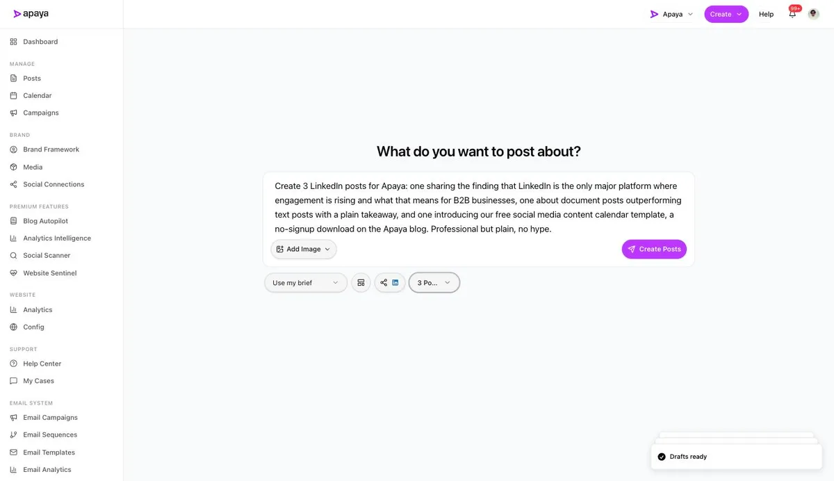 The configured create screen with a LinkedIn brief and three posts selected