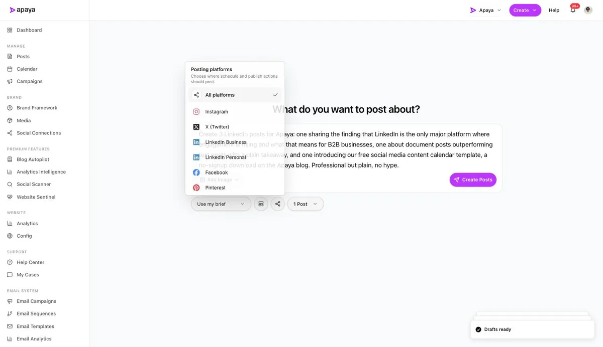 The platform picker with LinkedIn Business and LinkedIn Personal options