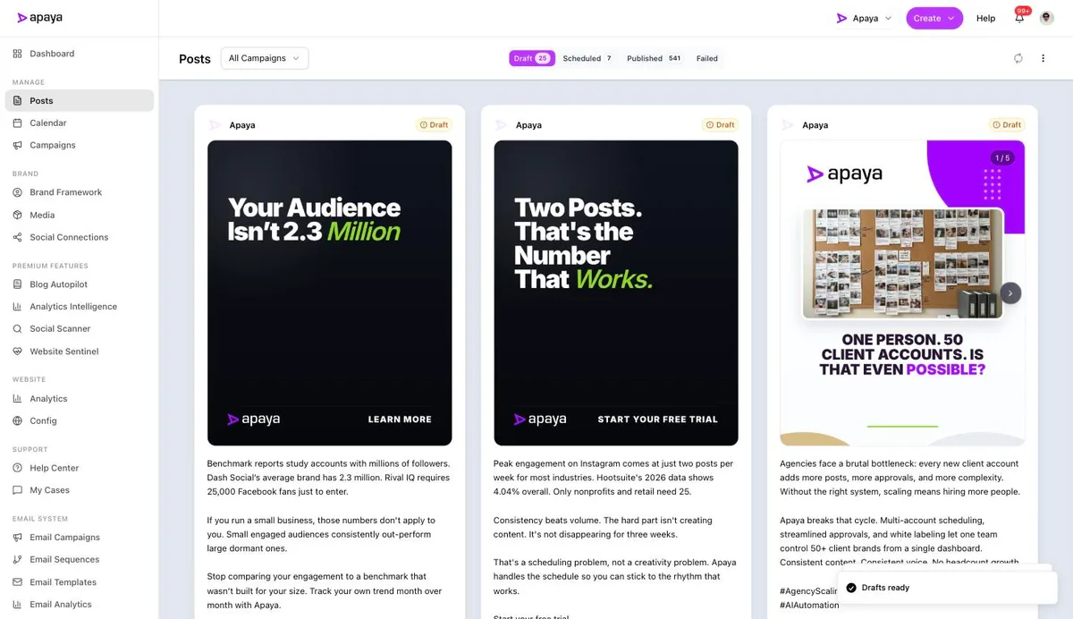 The posts library showing drafts, scheduled, and published posts in one view