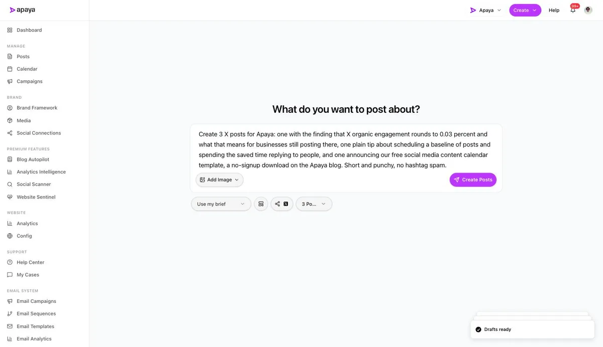 The configured create screen with an X brief and three posts selected