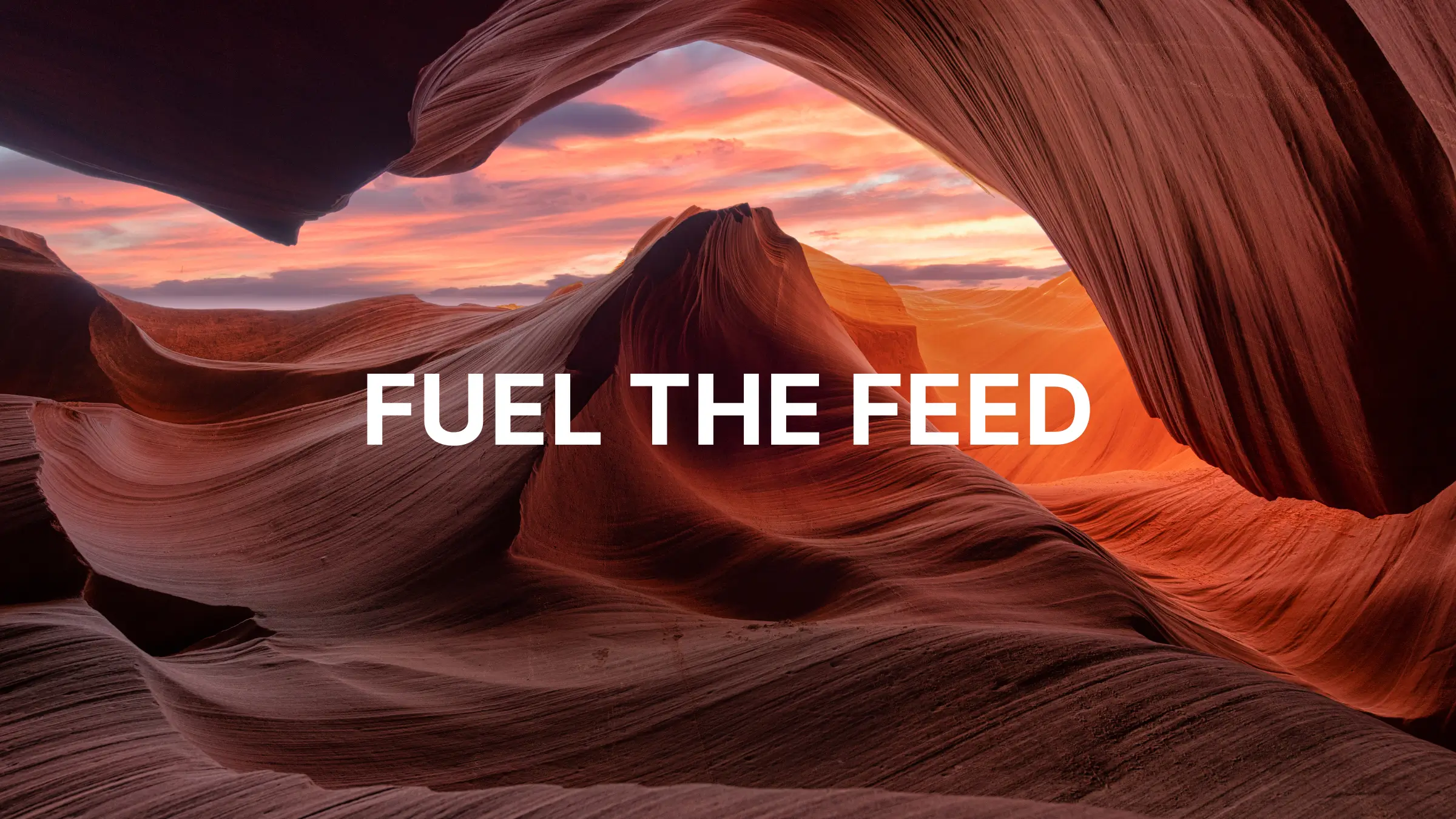 Team working on product development