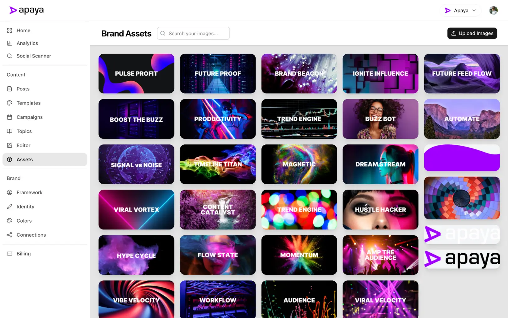 Design Studio preview—auto-branded templates and captions