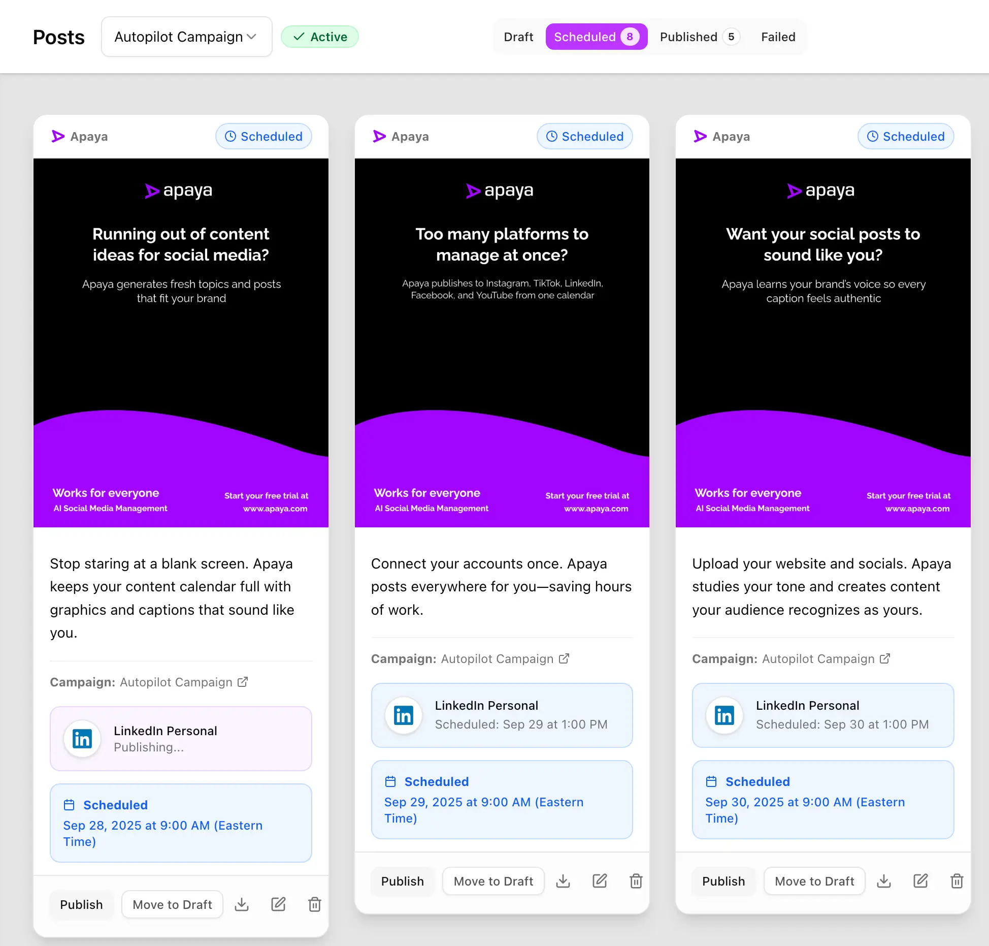 Apaya's scheduler showing posts scheduled at optimal times