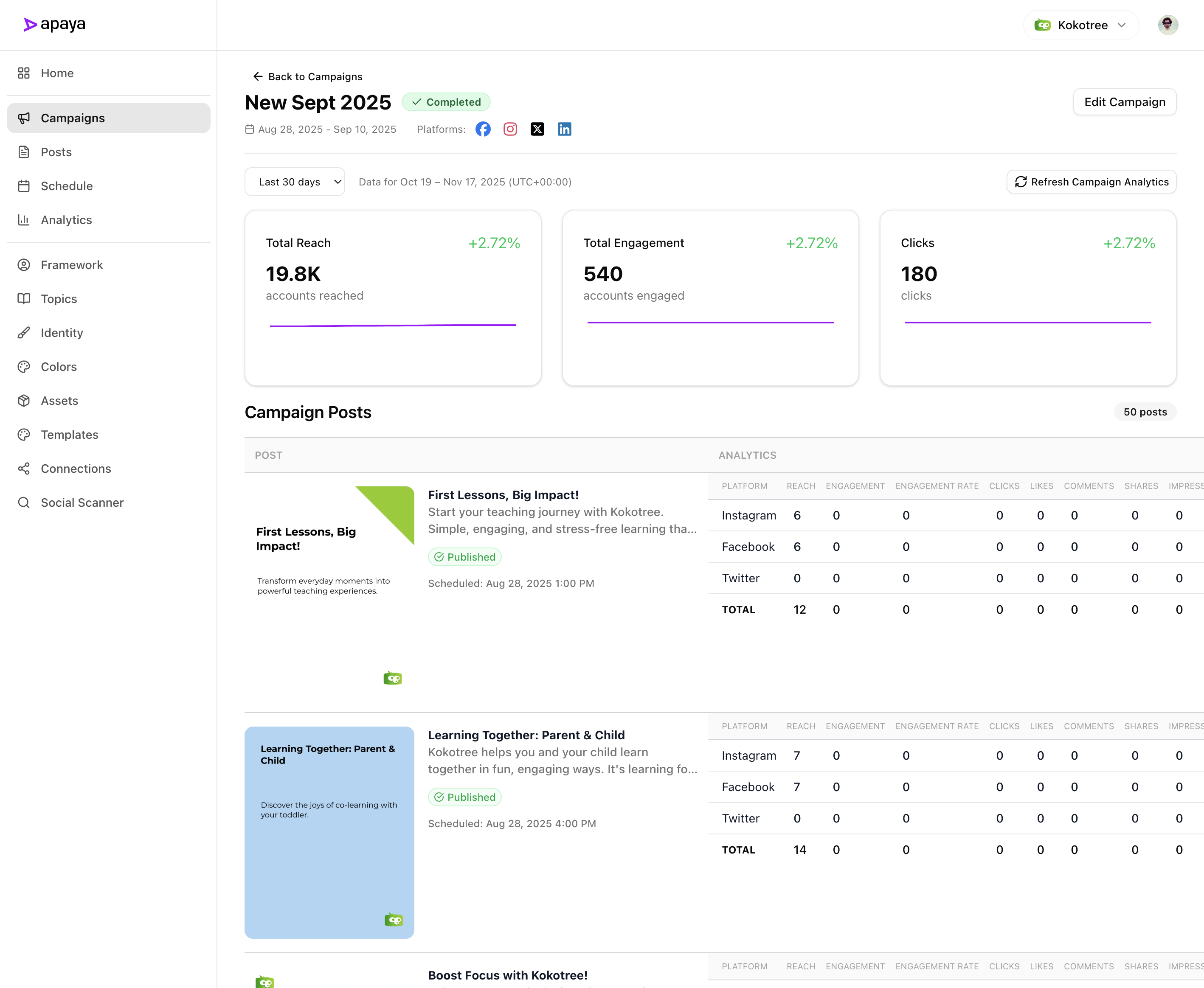 Apaya Detailed Campaign Analytics